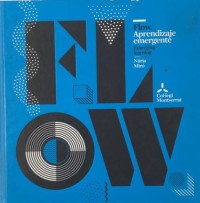 Flow Aprendizaje Emergente